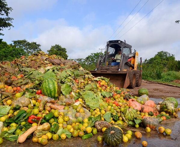 Desperdício de alimentos na norma FSSC 22000: desafios e soluções